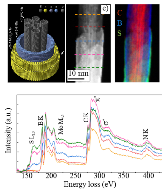 CNT/BN/MoS2 radial van der Waals heterostructure